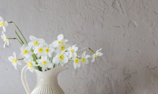 墙壁受潮发霉怎么办 墙壁受潮发霉家庭处理小妙招