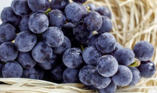 梦到吃葡萄是什么寓意（梦见吃葡萄是什么预兆）