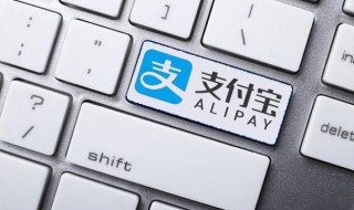 支付宝花呗还款怎么还（支付宝花呗还款怎么还有手续费）