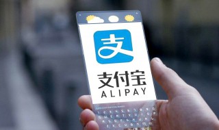 支付宝怎么变成商家码(支付宝怎么变成商家码支持信用卡)