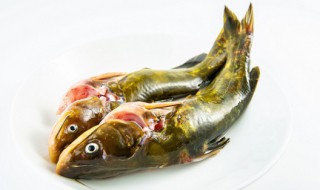 红烧鮥鱼的做法（红烧鮸鱼的做法）