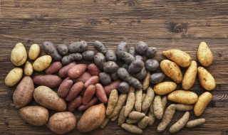 发芽的土豆怎么种盆栽（发芽的土豆怎么种盆栽视频）