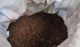 盆栽的土里有虫怎么办 花盆土里面有虫怎么办