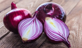 洋葱盆栽怎么用水种植（洋葱怎么水培种植方法）