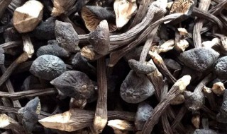干鸡枞菌怎么泡发（干黑皮鸡枞菌怎么泡发）