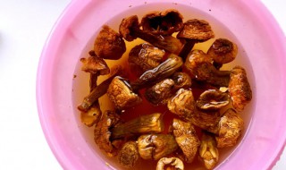 姬松茸怎么泡发 姬松茸怎么泡发和清洗