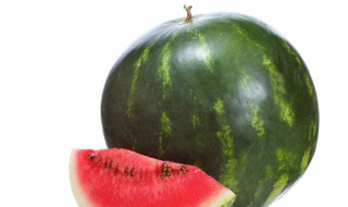 西瓜叶子有黑点怎么办(西瓜叶子长黑点)