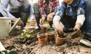 模拟人生4怎么种植物 模拟人生4 怎么种花