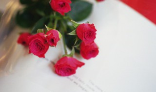 玫瑰花枯萎了怎么救活 玫瑰花要枯萎了怎么救