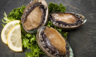 黑鲍鱼怎么煮(黑鱼鲍鱼怎么烧)