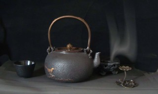 铁壶怎么煮茶 铸铁壶怎么煮茶