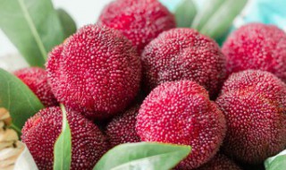 杨梅放冷冻两个月可以吃吗(杨梅放冰箱冷冻2个月了还能吃吗)