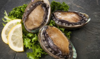 鲜鲍鱼怎么冷冻保存（鲍鱼如何冷冻保鲜）