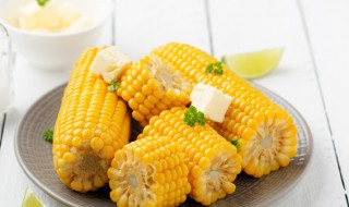 玉米粒怎么保存新鲜时间长 玉米粒怎样保存新鲜时间长
