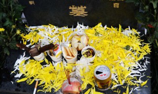 清明说说看哭了的话(清明说说短句)