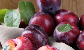 李子冷冻可以保存多久（冷库冷藏李子能保存多久）