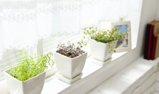 老人须干枯怎么办（老人须干枯了怎么救）