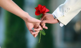 玫瑰花怎么养水里才开花(玫瑰花水养怎么养)