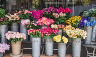 花盆里的土用开水烫还能插花吗 花盆里的土用开水烫还能插花吗怎么弄