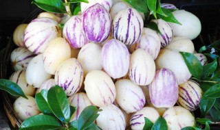 人参果怎么保存时间更久（人参果怎么保存时间长）