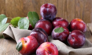 李子什么时候成熟季节 李子在几月份成熟