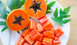 杨桃和木瓜分别在什么季节成熟 杨桃和木瓜分别在什么季节成熟的