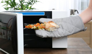 微波炉里放铁盘会怎么样(微波炉能放铁盘么)