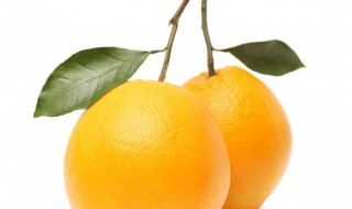 柠檬什么季节成熟 四川柠檬什么季节成熟