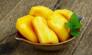 菠萝蜜的成熟季节是什么时候 菠萝蜜一般在什么季节成熟