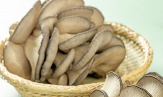 蘑菇在家怎么保存的更久（蘑菇怎么长久保存）