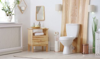 厕所顽固污渍怎么去除 厕所顽固污渍用什么能洗掉