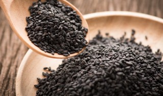 黑芝麻豆浆是熟芝麻吗（豆浆与黑芝麻）