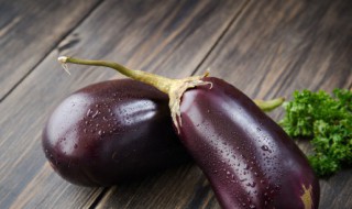 茄子播种后几天发芽 茄子播种多久才发芽