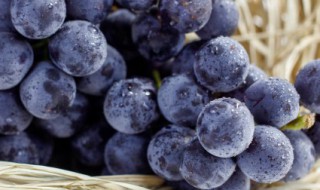 9月是什么水果成熟的季节 什么水果是9月份成熟的