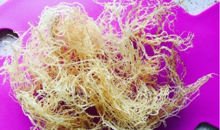 干石花菜可以保存多久（石花菜存放时间长了还可以吃吗）