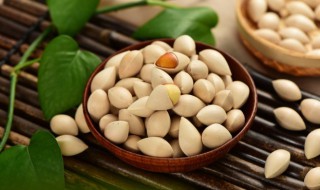 白果成熟的季节是什么时候（白果是什么季节成熟呢）