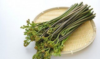 蕨菜泡久可以吃吗 蕨菜泡久了可以吃吗