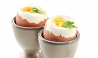 能用菊花来煮鸡蛋吗 菊花煮鸡蛋有什么作用