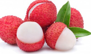 广东荔枝什么时候成熟季节 广东荔枝季节是什么时候