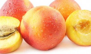 油桃什么季节成熟（油桃什么季节成熟季节）