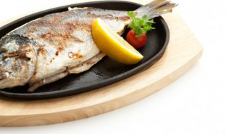 鳜鱼肥的时候是什么季节 鳜鱼几月份最肥