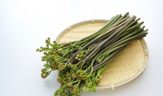 蕨菜怎么保存的更久（蕨菜保存时间长久做法）