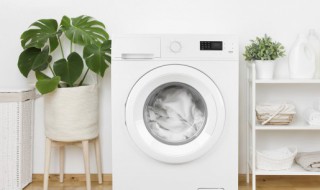 洗衣机洗衣服可以放香水吗(洗衣机能放香水吗)