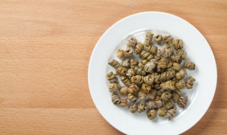 石斛适合在哪种植 石斛种植需要注意哪些