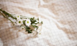 桌布上霉菌斑怎么去除 桌布发霉斑点了怎么清洗