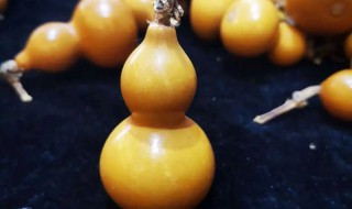 文玩葫芦表皮不光滑怎么处理(文玩葫芦表面粗糙怎样处理)