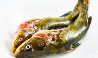 红烧昂公鱼的做法 红烧昂公鱼图片