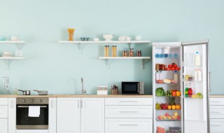 冰箱容易结冰的原因是什么 冰箱为什么很容易结冰是怎么回事