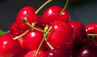 樱桃季节是什么时候成熟（樱桃的季节是什么时候成熟）