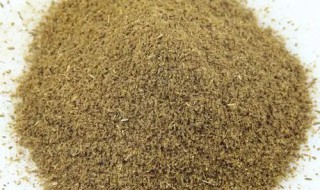 十三香和孜然粉有什么区别（十三香是孜然粉吗?）